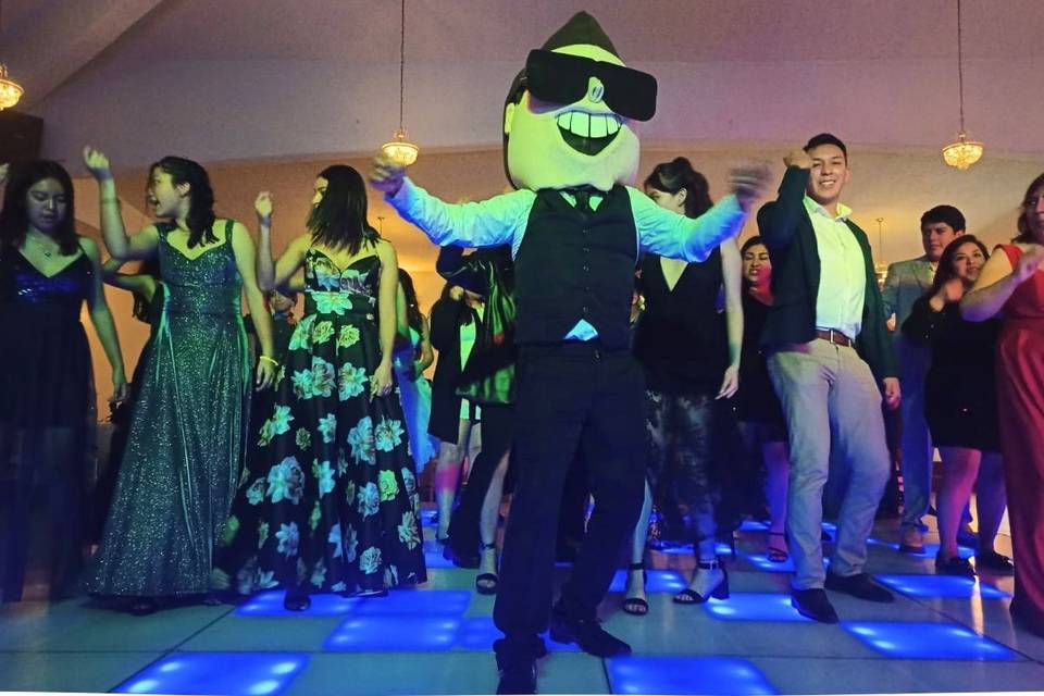 Boda Salón Arlequín Apizaco