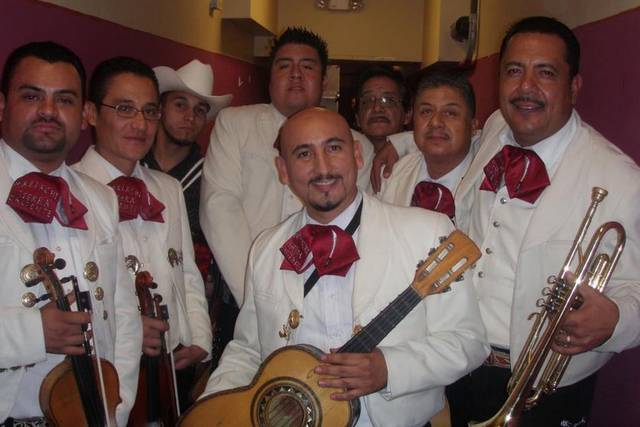 Experiencia y profesionalismo