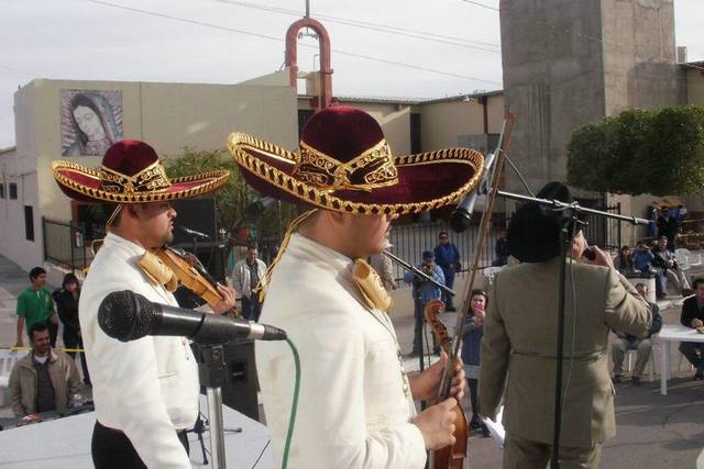 Shows en vivo