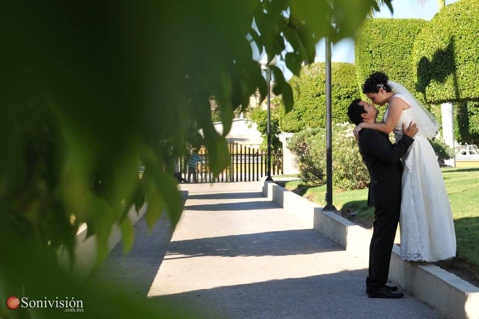 Amor en paisaje