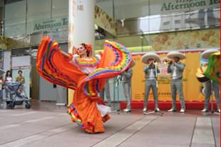 Mariachi Alma de México