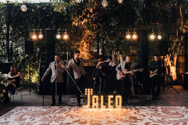 Jaleo arte en vivo