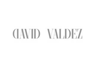 David Valdez logo