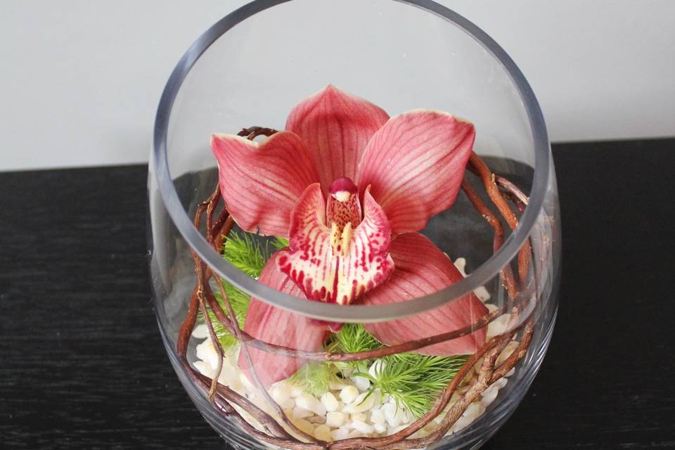 Recuerdos con orquídeas