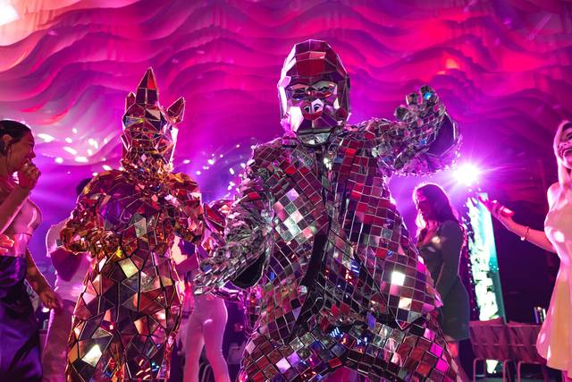 Mirror Costumes show