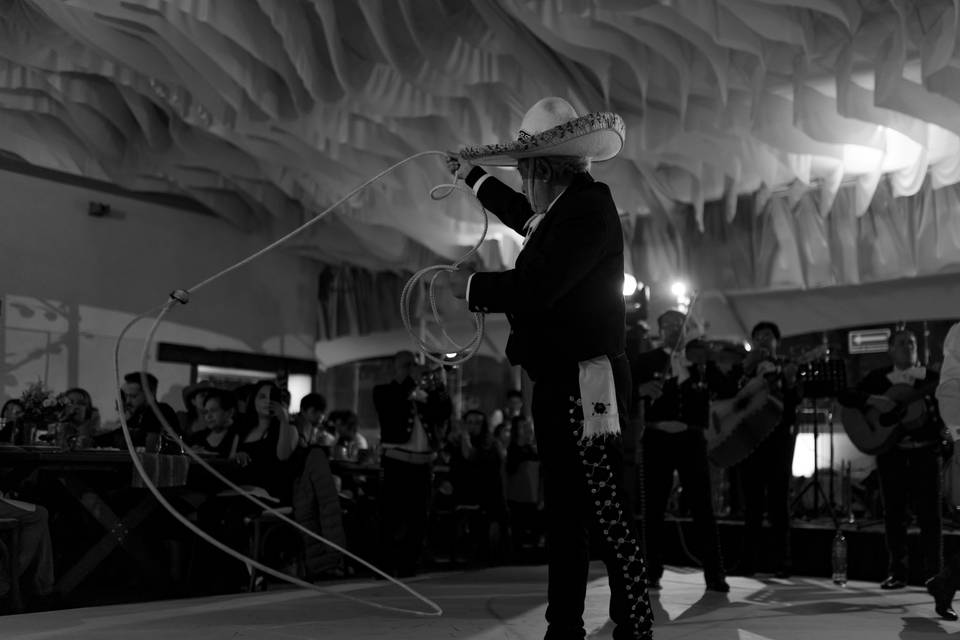 Floreo en vivo