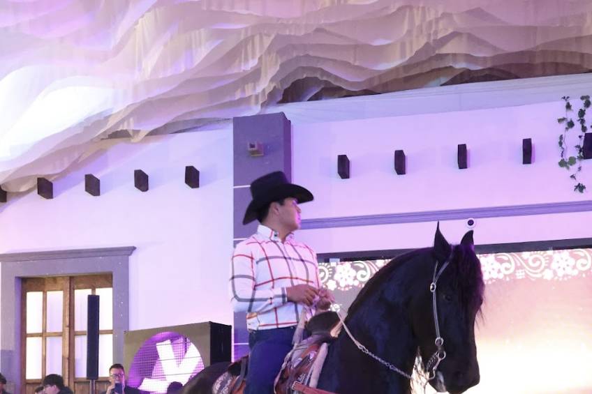 Caballo bailarín