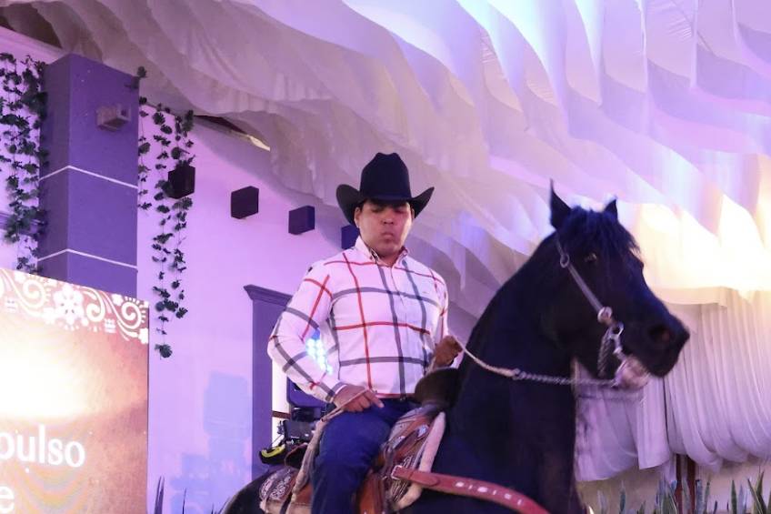 Caballo bailarín