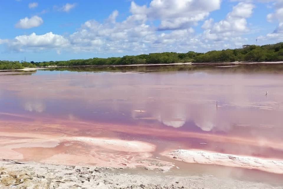 Salinas de Celestun