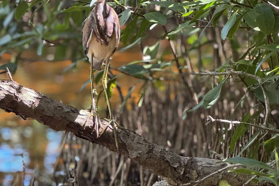 Lo que ofrece la naturaleza