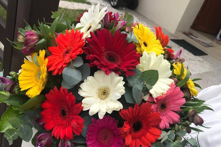 Bouquet gerberas