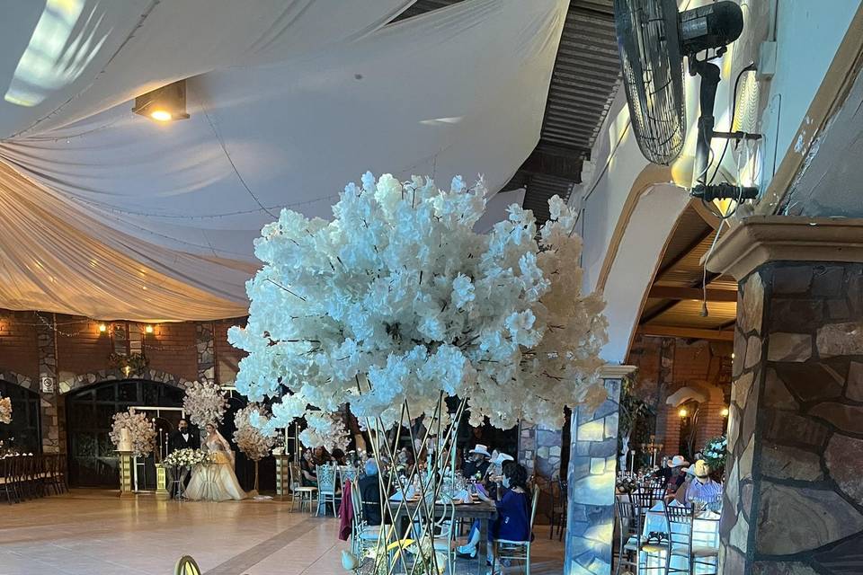 Boda A&B