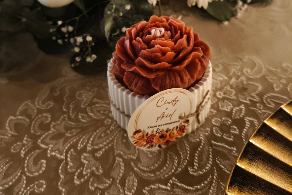 Detalles C&A