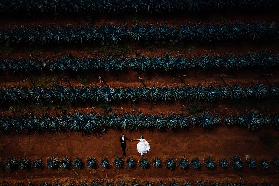 Trash the dress