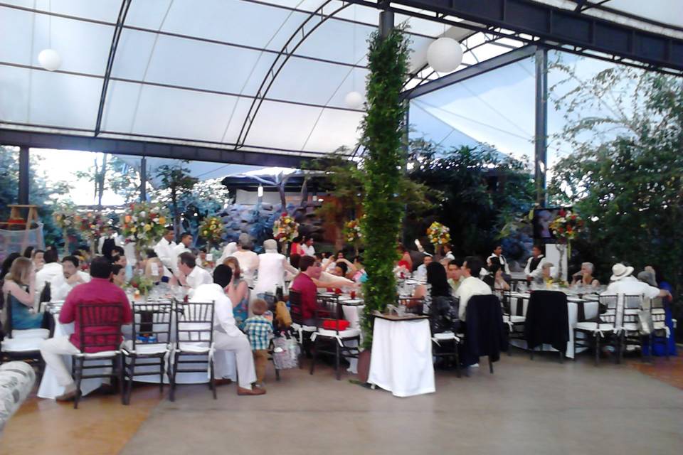 Boda banquete