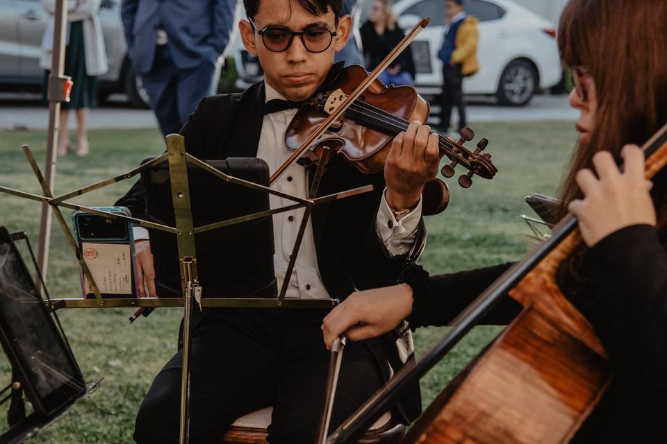 Violín y cello