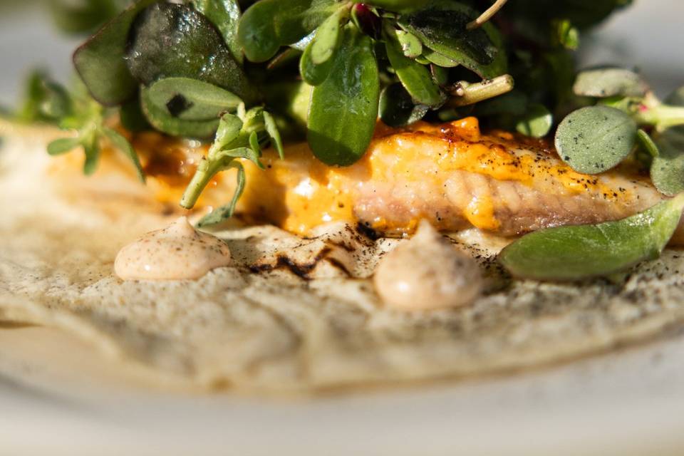 Taco de Pescado Zarandeado