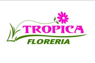 Tropica Florería logo