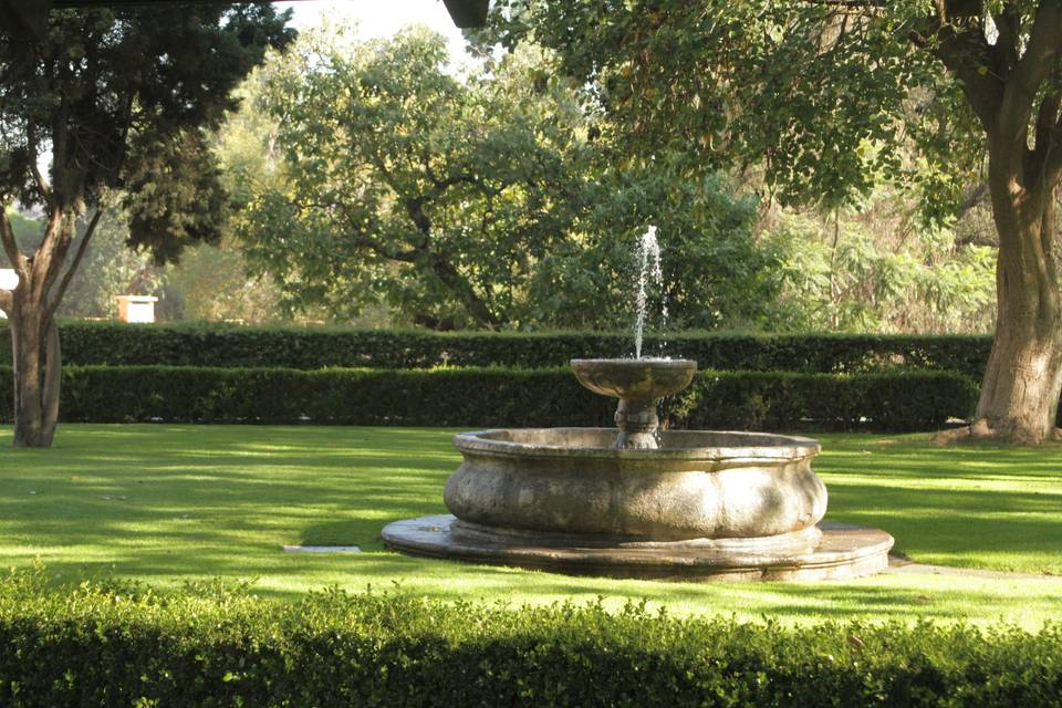 Boda civil en jardín