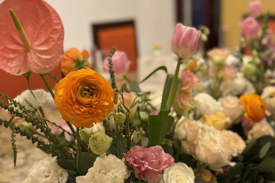 XV años Isabella