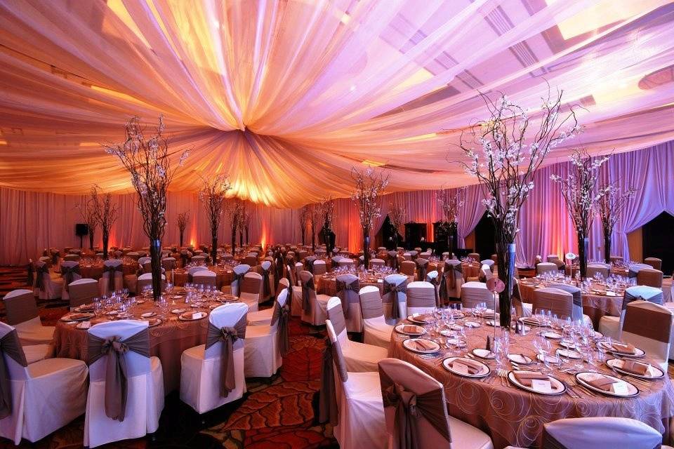 Lia Events & Wedding Design