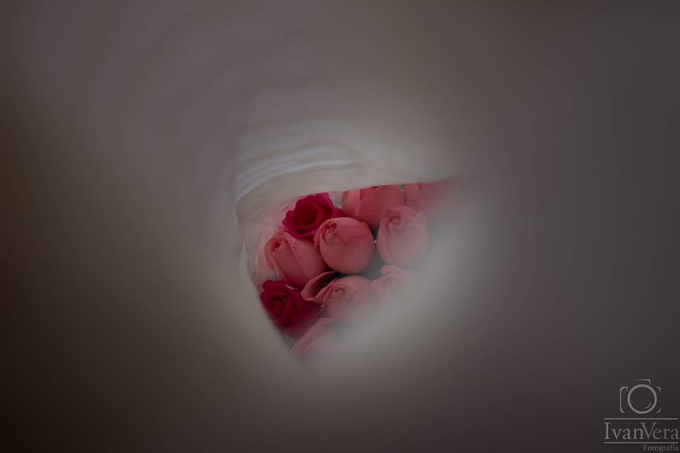 Detalles