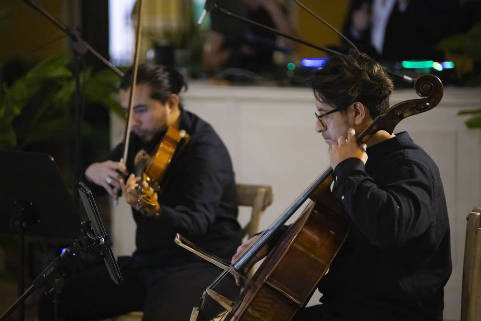 Cuarteto de cuerdas