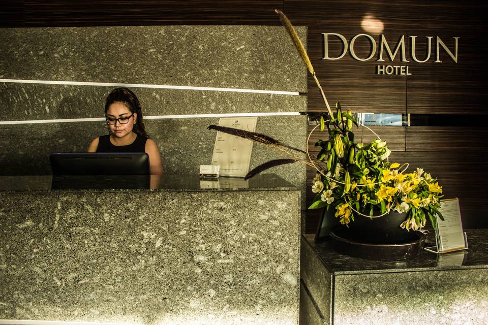 Hotel Domun
