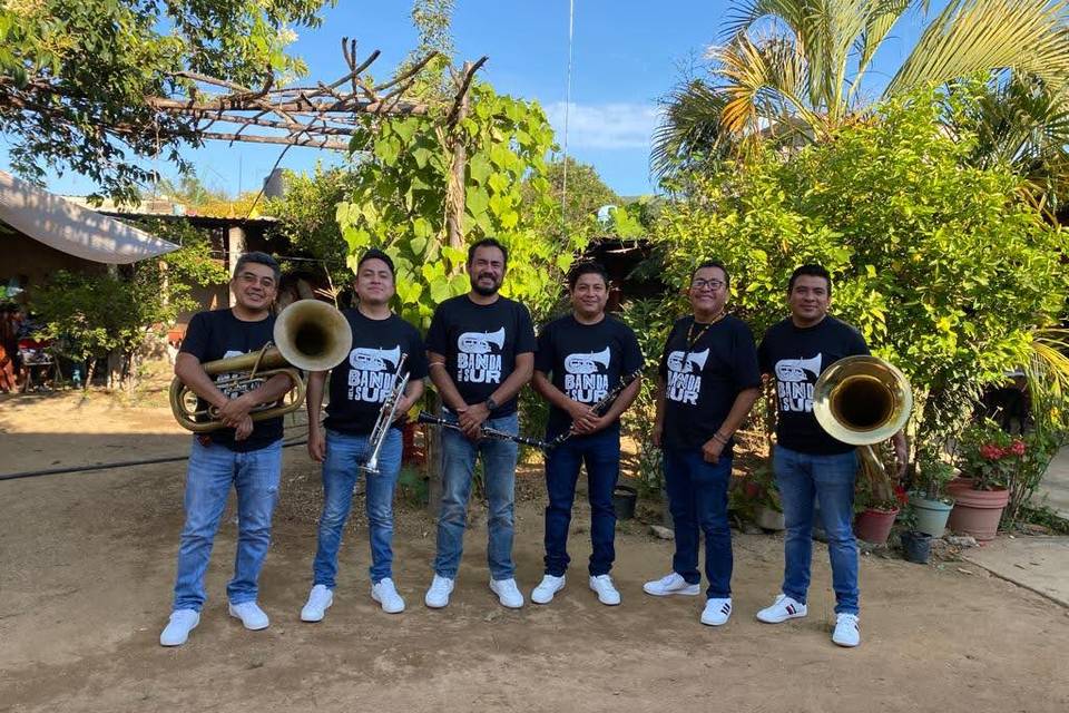 Banda del Sur