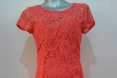Coral de encaje
