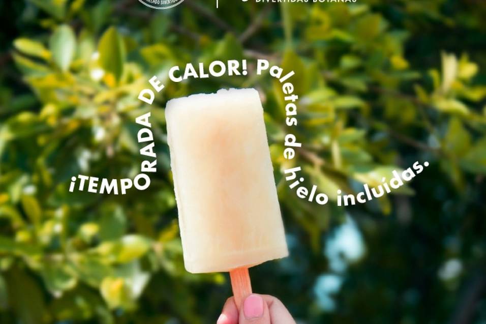 Paletas de hielo incluidas