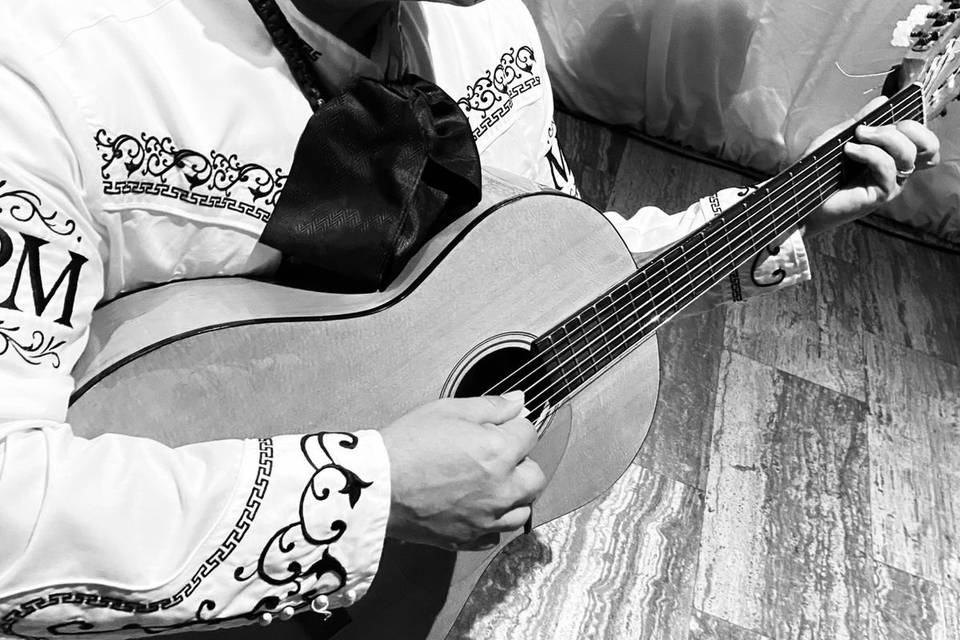 Mariachi Perla de México