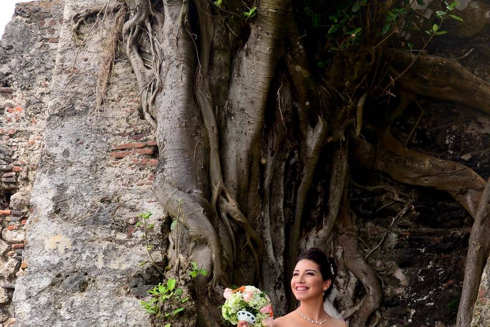 VIVA LA NOVIA!