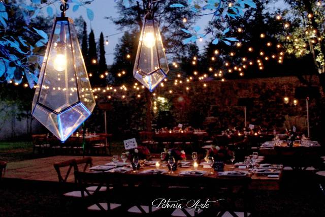 Bodas
