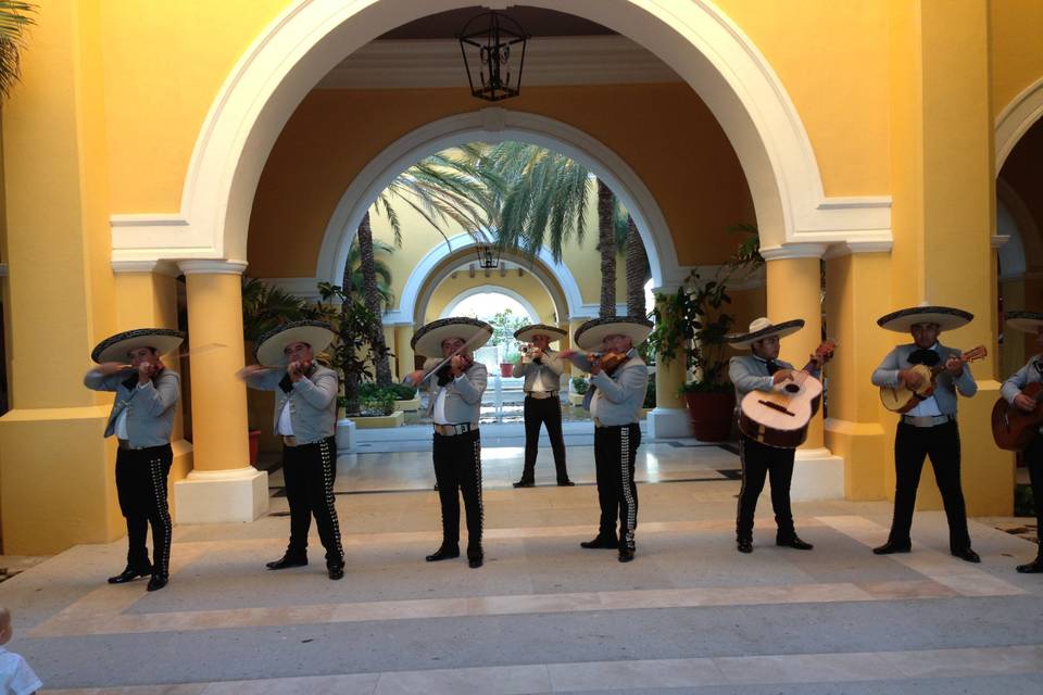 Mariachi en los cabos