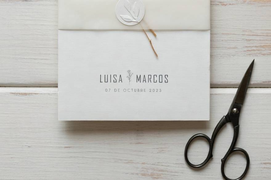 Minimalista color blanco