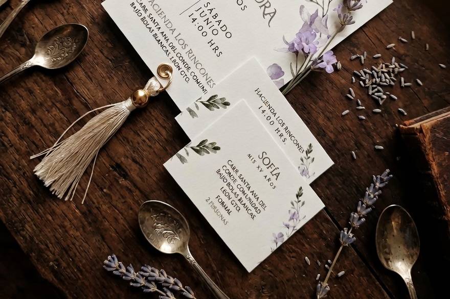 Minimalista sobre lavanda