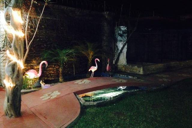 Iluminación nocturna