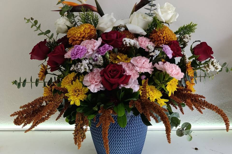 Flor de Yucatan