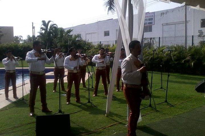 Boda en jardín terra nova