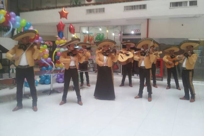 Mariachi nuevo continental