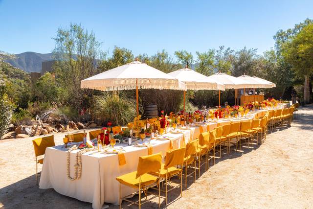 Saira Miranda Event Planner