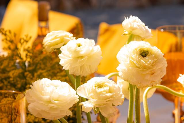 Flores