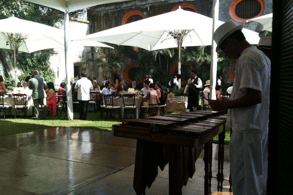 Marimba juvenil