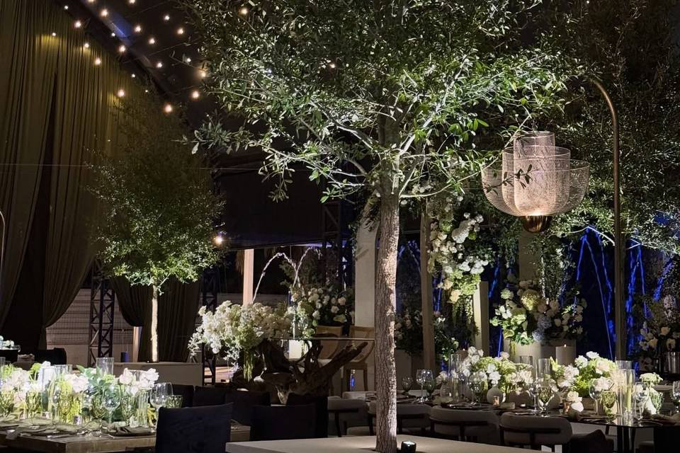 Dol Weddings