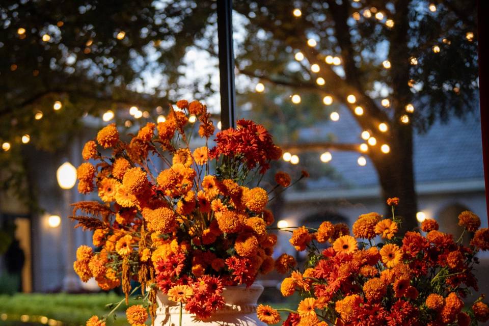 Dol Weddings