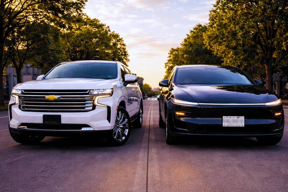 Swing Transportación