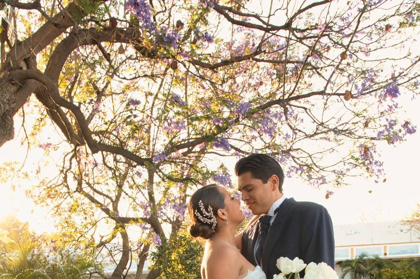 Recién casados posando debajo de un árbol
