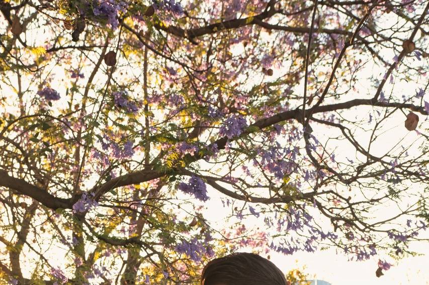 Recién casados besándose debajo de un árbol