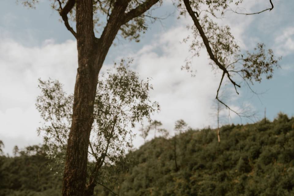 Janeth & Jair / Save the date